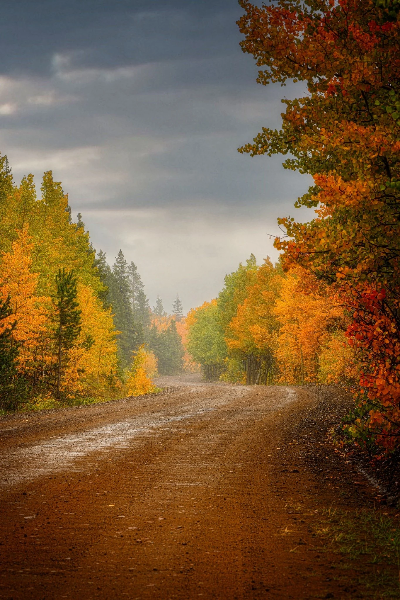 Seasons