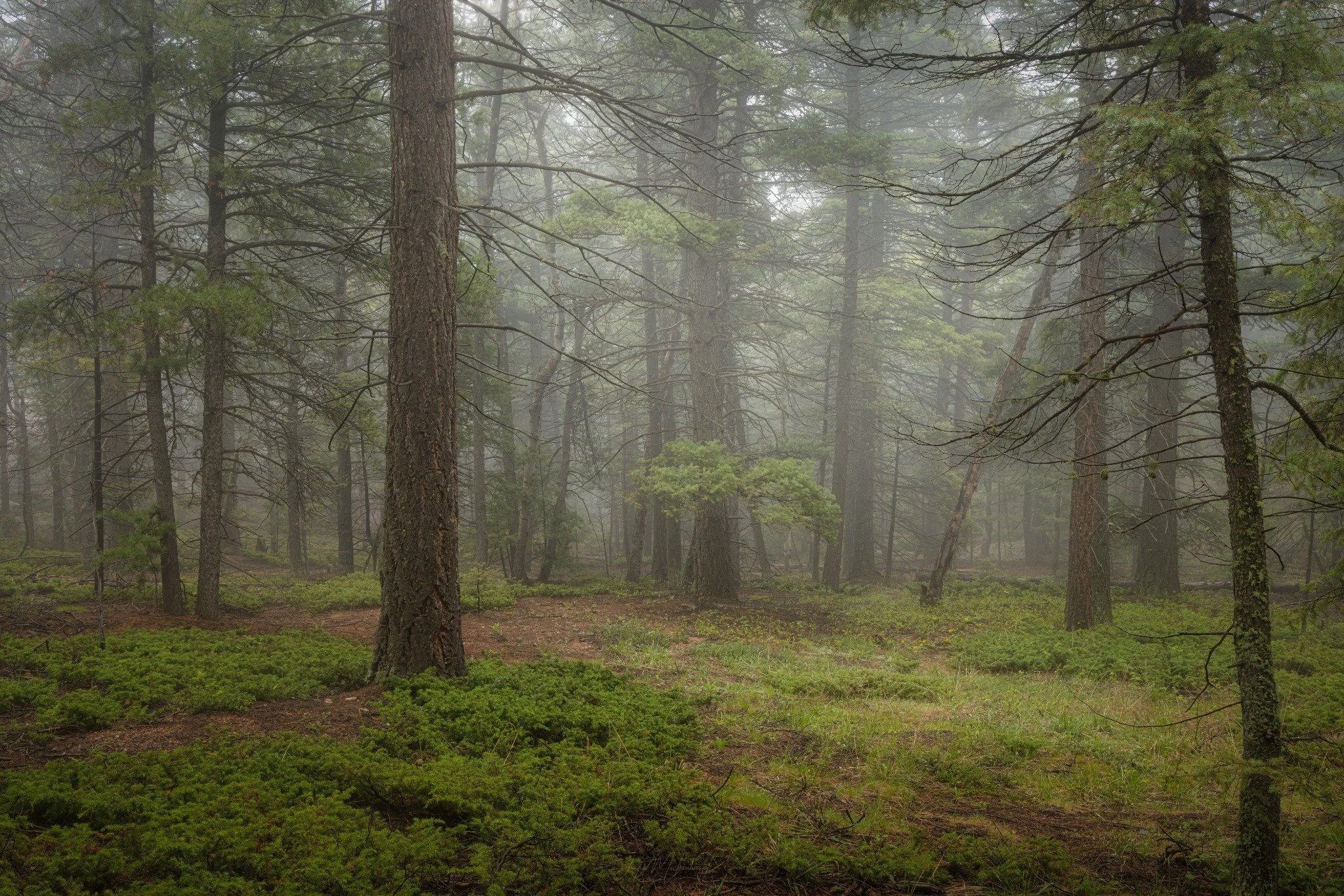 Atmospheric landscape