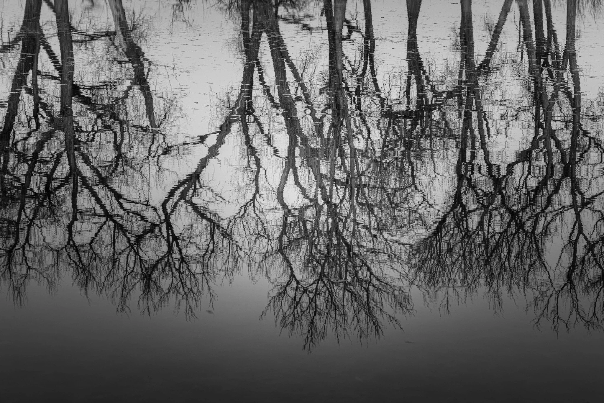 Water & Reflections